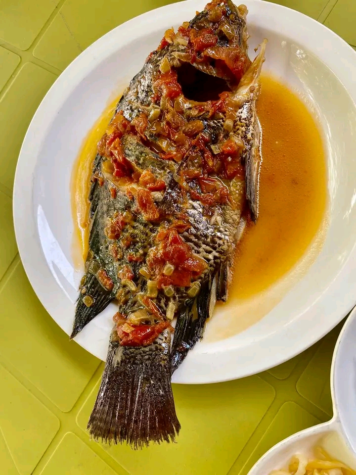 Fish in tomato sauce